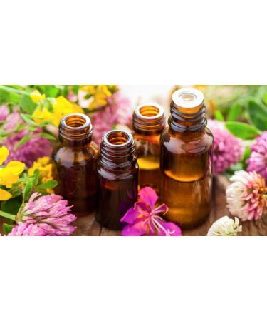 Buy Oak No. 22 Princeps Original Bach Flower Oak Drops - Premium Natural Remedy for Strength & Resilience | Worldwide Shipping - Buy Online on GoSupps.com