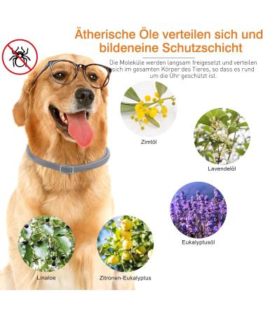 DEWEL 63.5cm Adjustable Waterproof Tick Collar for Dogs & Cats - Effective Anti-Flea Solution - Buy Online on GoSupps.com