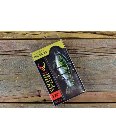 Mike Bucca Baby Bull Shad Swimbait 3.75 - 1/2 oz Golden Shiner | Catch Co Swimbait - Buy Online on GoSupps.com
