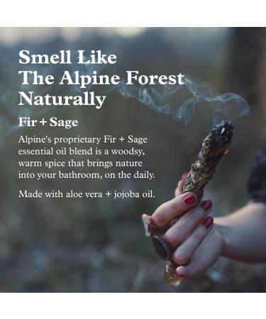 Alpine Provisions Fir & Sage Conditioner - Vegan Plant-Based Hair Care for Moisture & Repair - 16.9 FL Oz - International Shipping Available - Buy Online on GoSupps.com