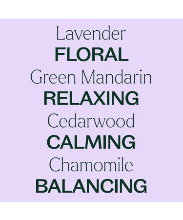 Plant Therapy KidSafe Sweet Dreams Essential Oil Blend Pre-Diluted Roll-On 10 mL (1/3 oz) & KidSafe Nighty Night Essential Oil Blend for Sleep Pre-Diluted Roll-On 10 mL (1/3 oz) - Buy Online on GoSupps.com