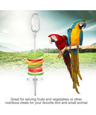 Stainless Steel Food Holder for Birds | Fruit & Vegetable Skewers for Parrots Budgies & Small Animals - Buy Online on GoSupps.com