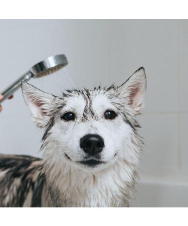 Iv San Bernard 020503 Fruits Pink Grapefruit Shampoo 500 ml - Buy Online on GoSupps.com