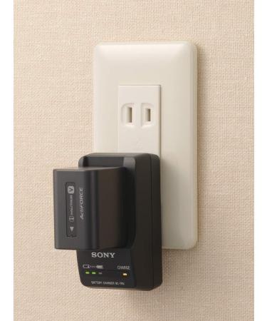 Sony BCTRV Travel Charger - Black | Compact & Portable Charging Solution - Buy Online on GoSupps.com
