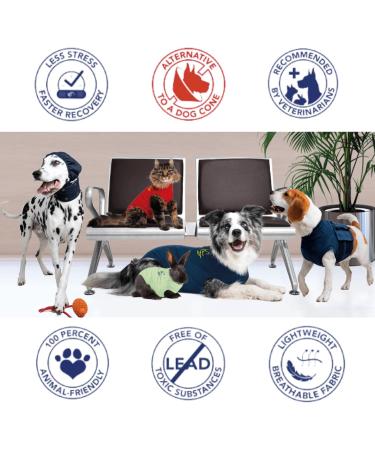 MPS Medical Pet Shirt for Cats - Stylish Zebra Print XXS Size Ideal for Post-Surgery Recovery International Shipping Available - Buy Online on GoSupps.com