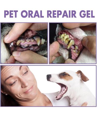 6 Pet Oral Repair Gel - Dog Breath Eliminator Gel - Pet Oral Repair Without Brushing - Natural Pet Teeth Care Solution for Cat Dog 6pcs - Buy Online on GoSupps.com