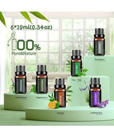Essential Oils Gift Set - 6 Pure Aromatherapy Oils (Rosemary Lavender Lemon Grass Orange Peppermint Tea Tree) 10ML | International Shipping - Buy Online on GoSupps.com