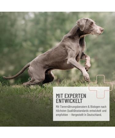 Reavet Grass & Fennel Drops for Dogs Calms Stomach Reduces Heartburn | Grain-Free Sugar-Free Solution for Grass Eaters - Buy Online on GoSupps.com