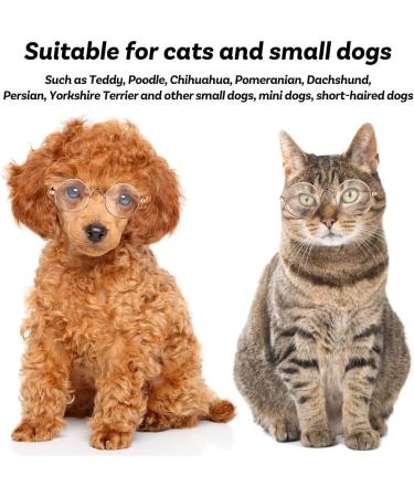 Pet Glasses Reflective Cat Retro Circular Pomeranian Sunglasses with Metal Frame for Cats Small Dogs Cosplay Photos Props black - Buy Online on GoSupps.com