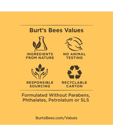 Burt's Bees Lip Balm Stocking Stuffer - 100% Natural SPF 15 Lip Care Holiday Gift, Water Resistant All-Weather Formula - 2 Pack - Buy Online on GoSupps.com