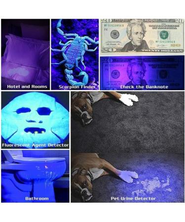 Ultrafire UV Flashlight - Super Power 395-405NM LED Black Light for Leak Detection Pet Stains & Bed Bugs - International Shipping Available - Buy Online on GoSupps.com