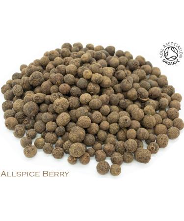 Organic Allspice Berry Pure Herbal Infusion (25 Unbleached Tea Bags - 50g) - Buy Online on GoSupps.com
