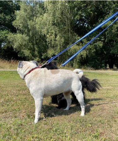 Double Ended Dog Training Lead Police Style Adjustable Leash 5ft (1.5 Metres) Multi-Functional In Air Webbing (Black 25mm Air Webbing) 25mm Air Webbing Black - Buy Online on GoSupps.com