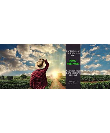 Shop Premium XL Cinema Popcorn - Fresh 500g Bags | International Shipping Available - Buy Online on GoSupps.com