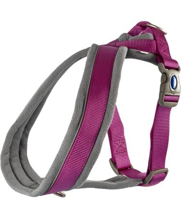 Ancol Viva Purple Padded Harness - Size Small (36-42cm) - Buy Online on GoSupps.com