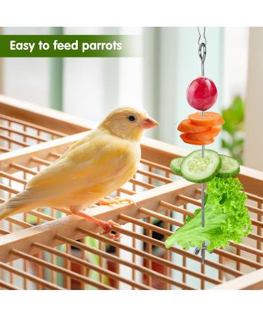 4 Pcs Bird Skewer Stainless Steel Parrot Skewer Feeder Bird Veggies Skewer Fruit Food Holder Hanging Food Feed Tool Foraging Toy Bird Toys for Budgie Parakeet Cockatiel - Buy Online on GoSupps.com