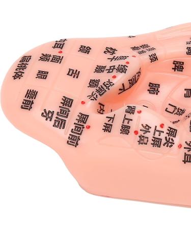 13 cm Ear Acupuncture Model | Ear Zone Pressure Point Learning Tool | International Shipping Available - Buy Online on GoSupps.com