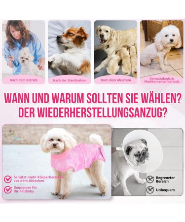 Eyein Dogebody: Soft Breathable One-Piece Dog Recovery Suit with Zipper & Belt E-Collar Alternative for Wound Protection (Pink Large) - Buy Online on GoSupps.com