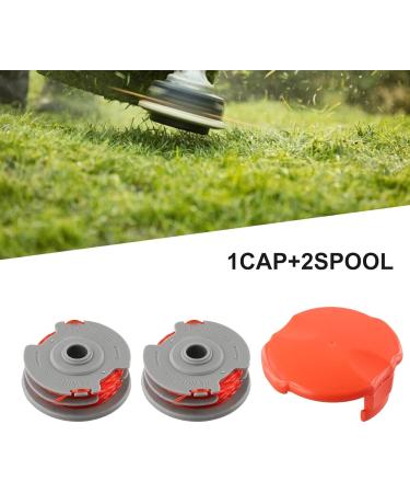 Provisional Dentures for Men & Women | Natural Appearance & Comfortable Fit | Enhance Your Smile with Tooth Veneers - Buy Online on GoSupps.com