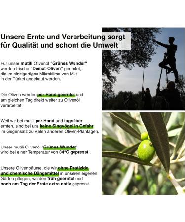 mutili Gr nes Wunder Oliven l Nativ Extra Virgin Frisch & Aromatisch 500ml - Buy Online on GoSupps.com