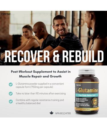 Herba L-Glutamine Capsules 750mg 180 Vegetable Capsules | 3 000mg Per Serving | Free Form L Glutamine Supplement | NPN from Health Canada | Made & 3rd Party Tested in Canada - Buy Online on GoSupps.com