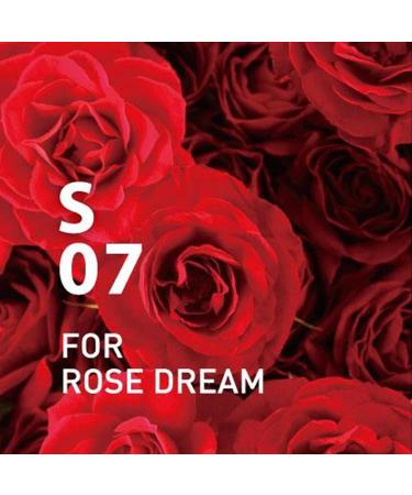 100% Pure Essential Oil Blend for Rose Dream - Supplement Air - 10 ml - Buy Online on GoSupps.com
