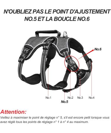 Heele Reflective Dog Harness - Breakout Buckle Robust Handle & Panic Clip for Secure Comfort - Fits Like a Glove - Black SS - Buy Online on GoSupps.com