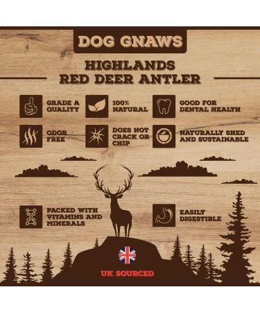 Dog gnaws Deer Antlers for Dogs Large Dog Antler Natural Dog Treats and Chews GradeA Sustainable Puppy Teething Toys & Dental Sticks Naturally-Shed Nutritious Dog Chew Toys Bones 135g-165g - Buy Online on GoSupps.com