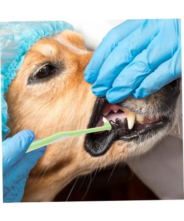Levemolo 1pc Pet Single Head Toothbrush Brush Teeth Care Brush Dog Toothpaste Plastic - Buy Online on GoSupps.com