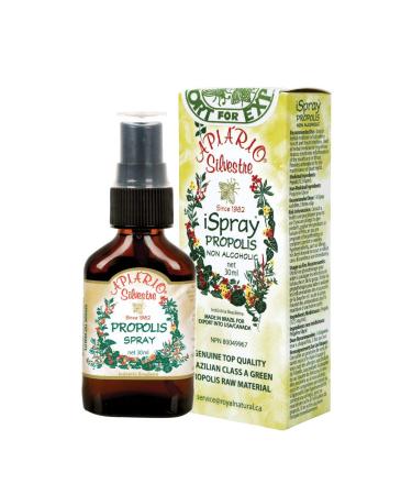 Immune booster/Immune System Support/Sore Throat - Official Distributor - 1 Bottle of Apiario Silvestre Brazilian Green Bee Propolis Spray Glycolic Extract-Non Alcoholic Wax Free Sugar Free