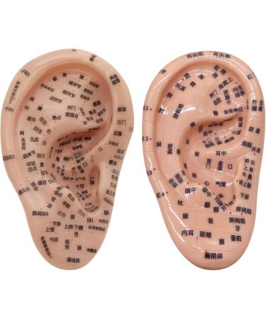 Ear Acupuncture Set - Needle & Ear Seeds for Weight Loss | Complete 7.5 Ear Model Plasters Tweezers & Guide Book - Buy Online on GoSupps.com