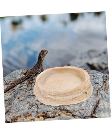 ROMISBABA 2pcs Pet Bowl Bearded Dragon Water Bowl Terrarium Water Bowl Reptile Feeding Dish Animal Resin Beige - Buy Online on GoSupps.com