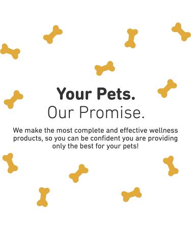 Lipiderm Healthy Skin & Coat for Large Dogs - 60 Soft Gels | International Veterinary Sciences - Buy Online on GoSupps.com
