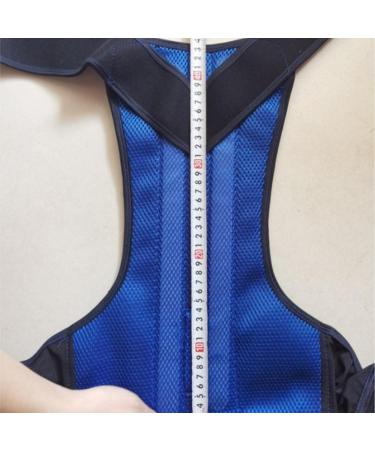 Back Support Back Brace Lumbar Support Back Support Posture Corrector Full Back Support Belt Brace Trainer Shoulder Back Support Belt(Blue Small) Small Blue - Buy Online on GoSupps.com