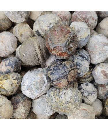 FACSER Natural Crystal Rough 500g Natural Agate Original Stone Crystals Raw Rough Specimens Jade Gemstones Ornaments - Buy Online on GoSupps.com