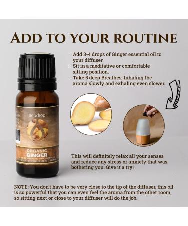Organic Ginger Essential Oil 10ml by Ecodrop - Therapeutic Grade, Cosmos Certified, Pure Ginger Root Oil for Aromatherapy with Free E-Book - Buy Online on GoSupps.com