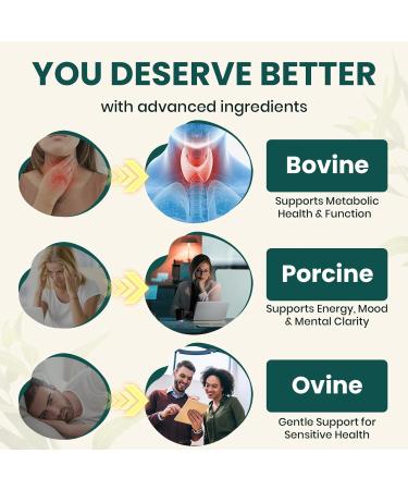 Thyroid Supplement TriDexThyro Raw Desiccated Thyroid Complex 375 mg with Bovine Porcine & Ovine 120 Capsules for Women and Men(2 Pack) 3.37 Ounce (Pack of 2) - Buy Online on GoSupps.com