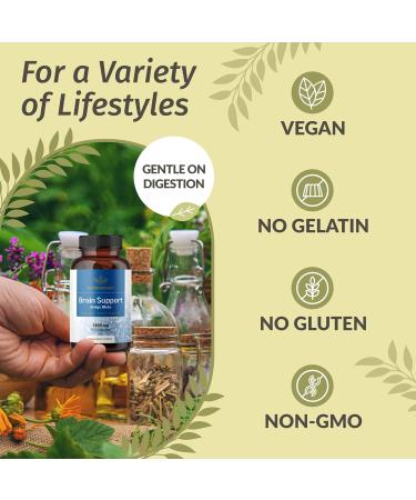 HERBAMAMA Brain Support Capsules - 1400mg Brain Support Supplement for Adults with Bacopa Panax Ginseng and Ginkgo Biloba - Vegan Non-GMO Focus Supplement 100 Caps 100 Count (Pack of 1) - Buy Online on GoSupps.com