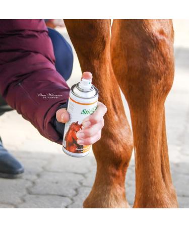 Boots Vetcare Ointment Spray for Horses - Healing 200ml with Zinc Vitamin E & Natural Ingredients - Buy Online on GoSupps.com