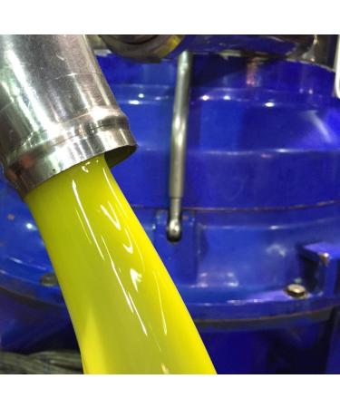 Premium Jordan Bio Olive Oil - 1L Canister | Authentic Greek Cold-Extracted Olive Oil from Lesbos | Handpicked & Certified - Buy Online on GoSupps.com