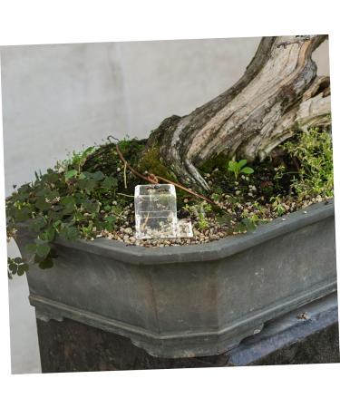 Kisangel 4pcs Pet Water Feeder Insect Water Bowl Ants Water Feeder Ants Habitat Water Feeding Plastic - Buy Online on GoSupps.com