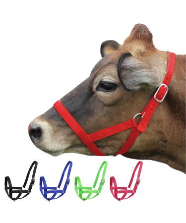 Derby Originals Adjustable Nylon Livestock Cattle Halters Available Large (800-1400lbs) Red