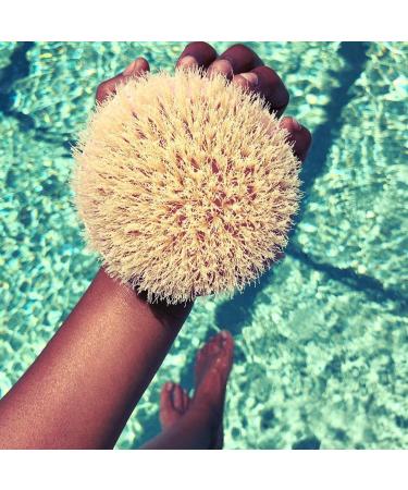 EcoTools Dry Body Brush - Enhance Your Skincare Routine & Boost Circulation - Buy Online on GoSupps.com