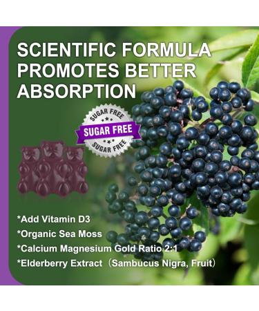 (2 Pack) Sugar Free Calcium Magnesium Zinc Gummies, Calcium Magnesium 2:1, Contains Magnesium Glycinate, Vitamin D3, Sea Moss, for Bones, Muscles, Calm Mood & Sleep Support, Vegan, 120 Gummies Sweet Elderberry 60 Count (Pac  - Buy Online on GoSupps.com
