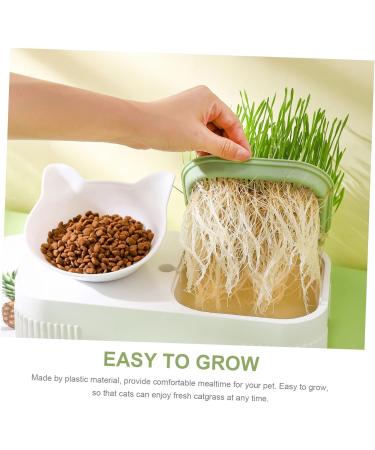 Beavorty 2pcs Set Three-dimensional eyebrow card DIY eyebrow stencil eyebrow stencils reusable eyebrow - Buy Online on GoSupps.com