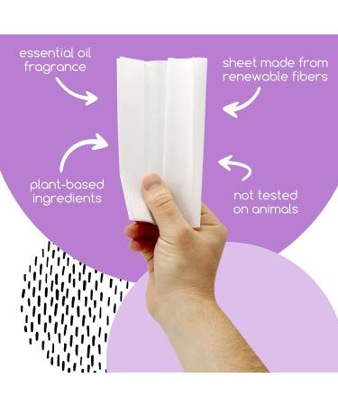 Beyond Natural Eco-Friendly Dryer Sheets - Recyclable Packaging - 80ct Box - Buy Online on GoSupps.com