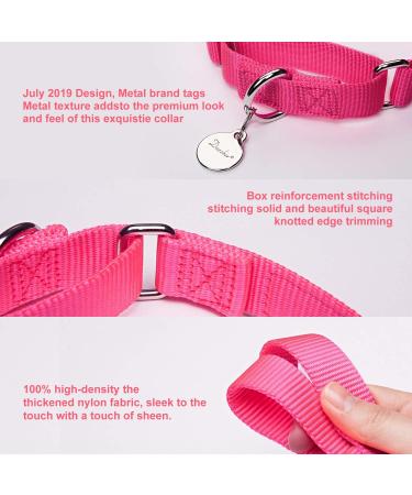 Dazzber Martingale Dog Collar - Large Adjustable Durable Nylon in Hot Pink - 1 Inch Wide Strong & Hard-Wearing - Buy Online on GoSupps.com