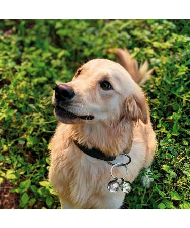 Luckious Brand 3 Set Loud Cat and Dog Bells - Pet Tracker Bells Dog Bells for Collar Pet Tracker Silver - Buy Online on GoSupps.com