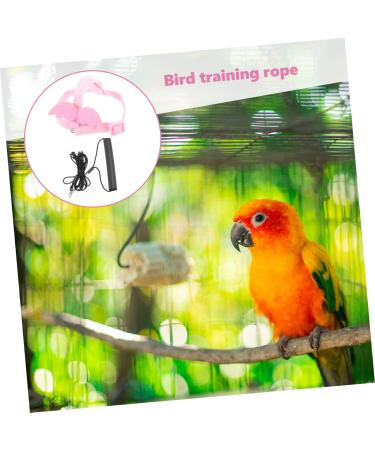 Angoily 4 Sets Bird Leash Suspend Trains Parrot Adjustable Harness Chicken Harness Car Supplies Clothing 12X6X1.3CMx4pcs Pinkx4pcs - Buy Online on GoSupps.com