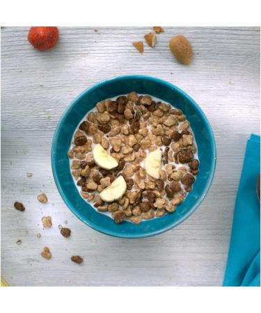  Italian Gourmet E.R. Nestl Lion Cereali Integrali Cioccolato e Caramello Lot of 3 whole cereals with chocolate and caramel 400 g + Italian Gourmet pulp 400 g - Buy Online on GoSupps.com